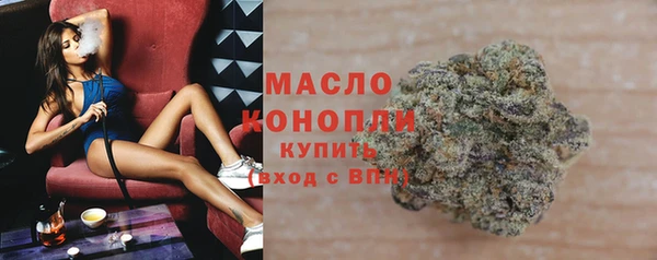 винт Лагань
