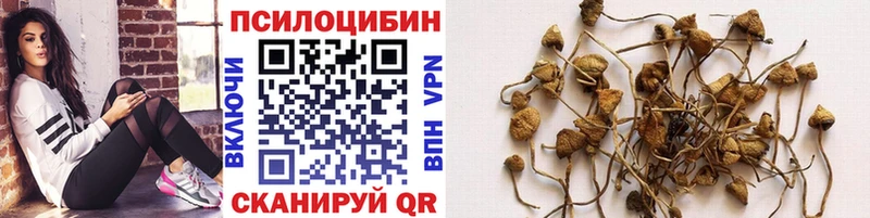 Купить  Ковдор  Псилоцибиновые грибы ЛСД 